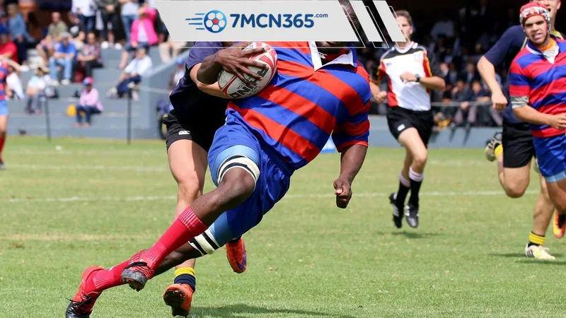 Cá cược bóng đá là gì