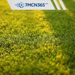 Kèo giữ sạch lưới là gì Tìm hiểu Clean Sheet bet