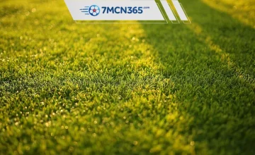 Kèo giữ sạch lưới là gì Tìm hiểu Clean Sheet bet