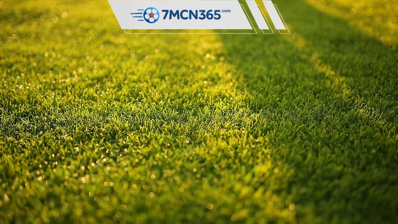 Kèo giữ sạch lưới là gì Tìm hiểu Clean Sheet bet