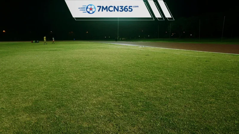 Odds là gì Cách đọc odds thập phân, phân số và odds Mỹ