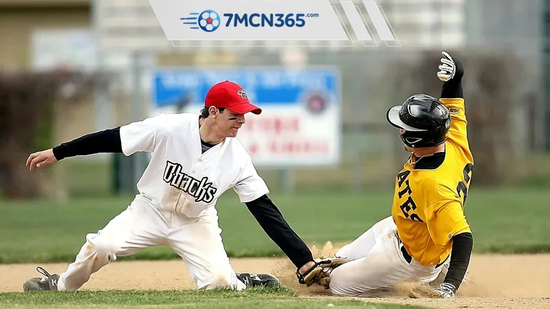 Tỷ số bóng chày hôm nay