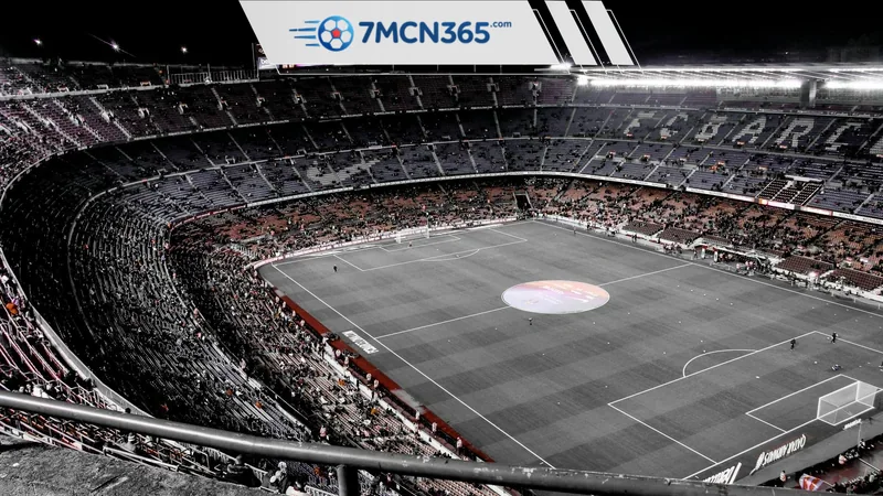 Value bet là gì Cách tìm kèo giá trị theo xác suất