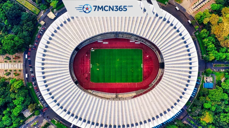 Biến động kèo 7M hiển thị những gì trên hệ sinh thái 7M