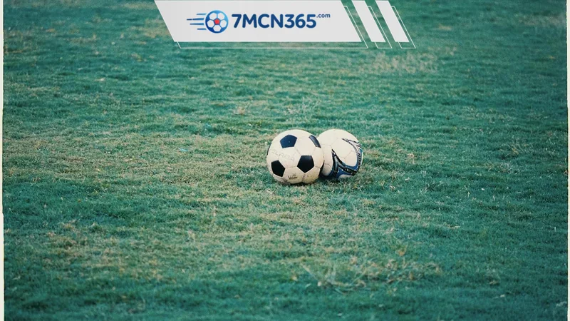 Cách dùng link 7m mới nhất nhanh và đúng intent