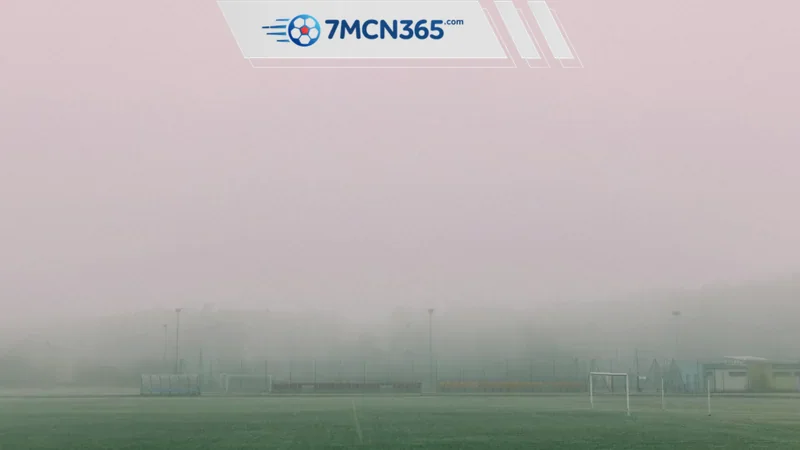 Database 7M hiển thị những gì trên hệ sinh thái 7M