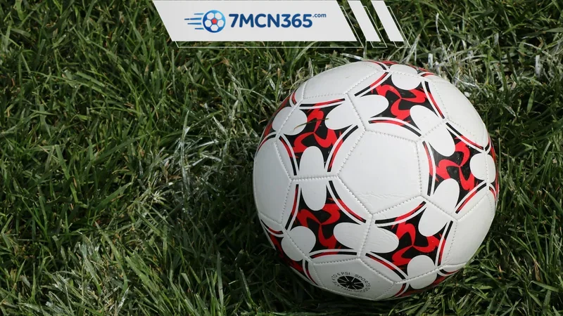 Kèo nhà cái hôm nay Nhịp đập sân cỏ trong tầm tay