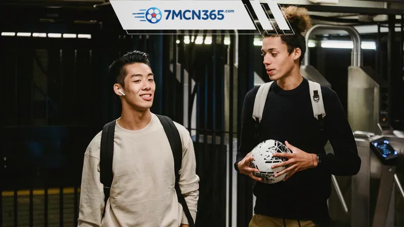 Mẹo dùng database 7m cùng BXH và lịch thi đấu