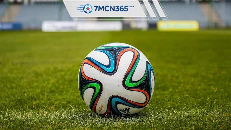 Nhận định bóng đá Canada vs Bosna và Hercegovina Sức mạnh từ tốc độ và sự cuồng nhiệt