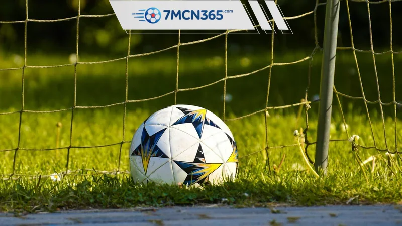 Nhận định đặc biệt Canada vs Bosna và Hercegovina Khi bản lĩnh Balkan đối đầu thực dụng Bắc Mỹ