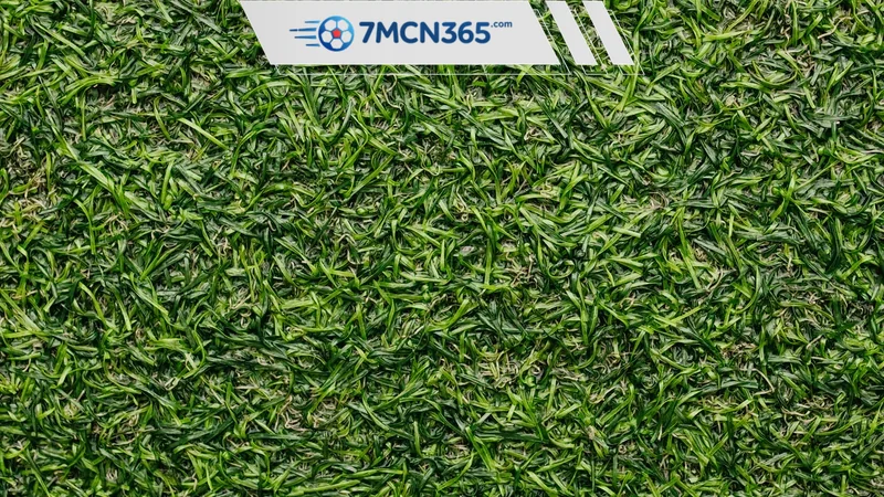 Nhận định đặc biệt Hoa Kỳ vs Paraguay Cột mốc tâm lý và vũ khí từ khán đài