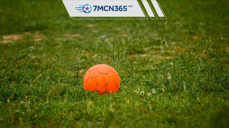 Những lỗi người mới thường gặp khi tra cứu app 7m