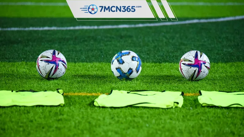 Thẻ phạt 7M hiển thị những gì trên hệ sinh thái 7M
