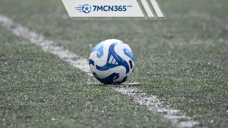 Thống Kê Bóng Đá 7M Nên Xem Chỉ Số Nào Trước Khi Nhận Định