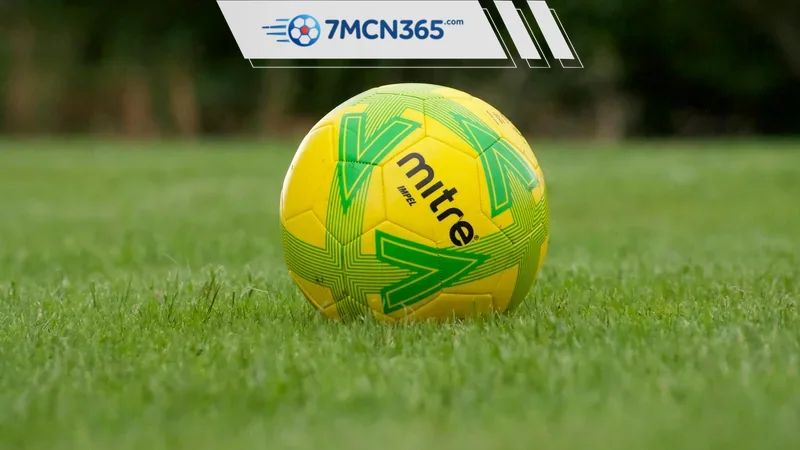 Thống kê bóng đá 7M hiển thị những gì trên hệ sinh thái 7M